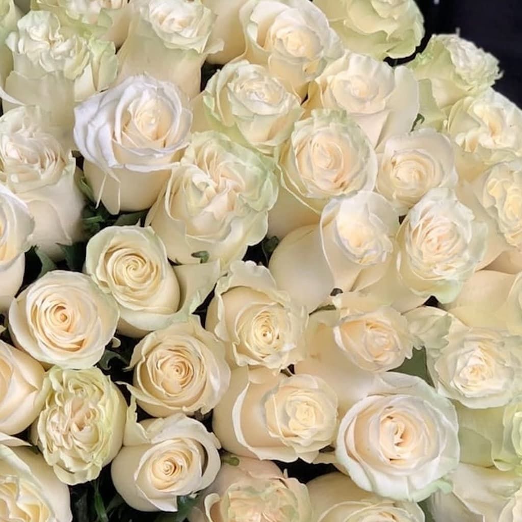 Белые розы в ленту (51 шт) №1601 - Фото 8